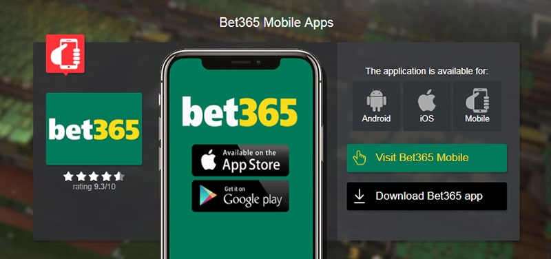 bet365 omi88